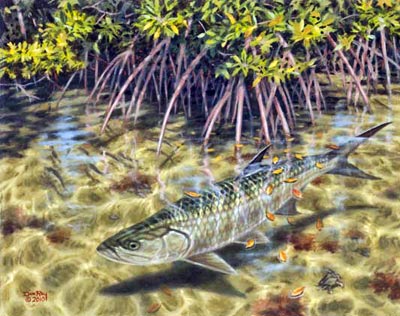 don-ray-shoreline-tarpon