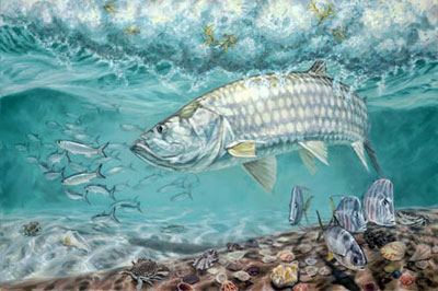 don-ray-surfin-tarpon