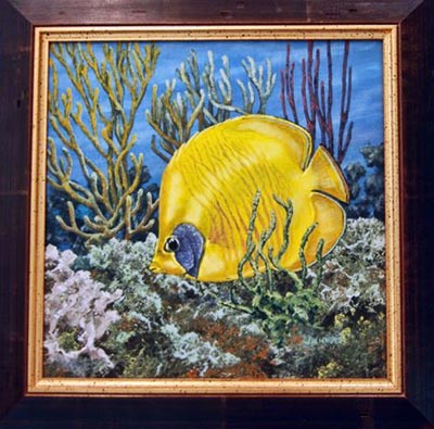 harris-blue-tang