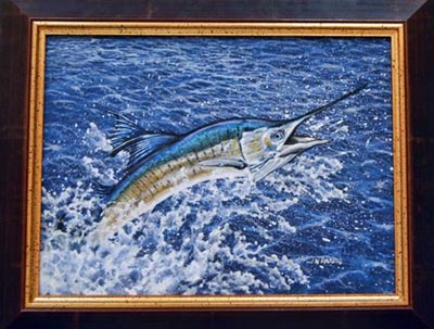 harris-sailfish